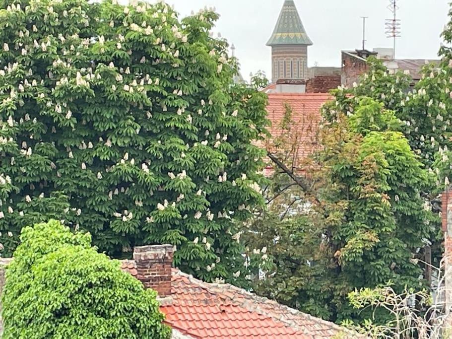 Central, Big Terrace, Near River Τιμισοάρα Εξωτερικό φωτογραφία