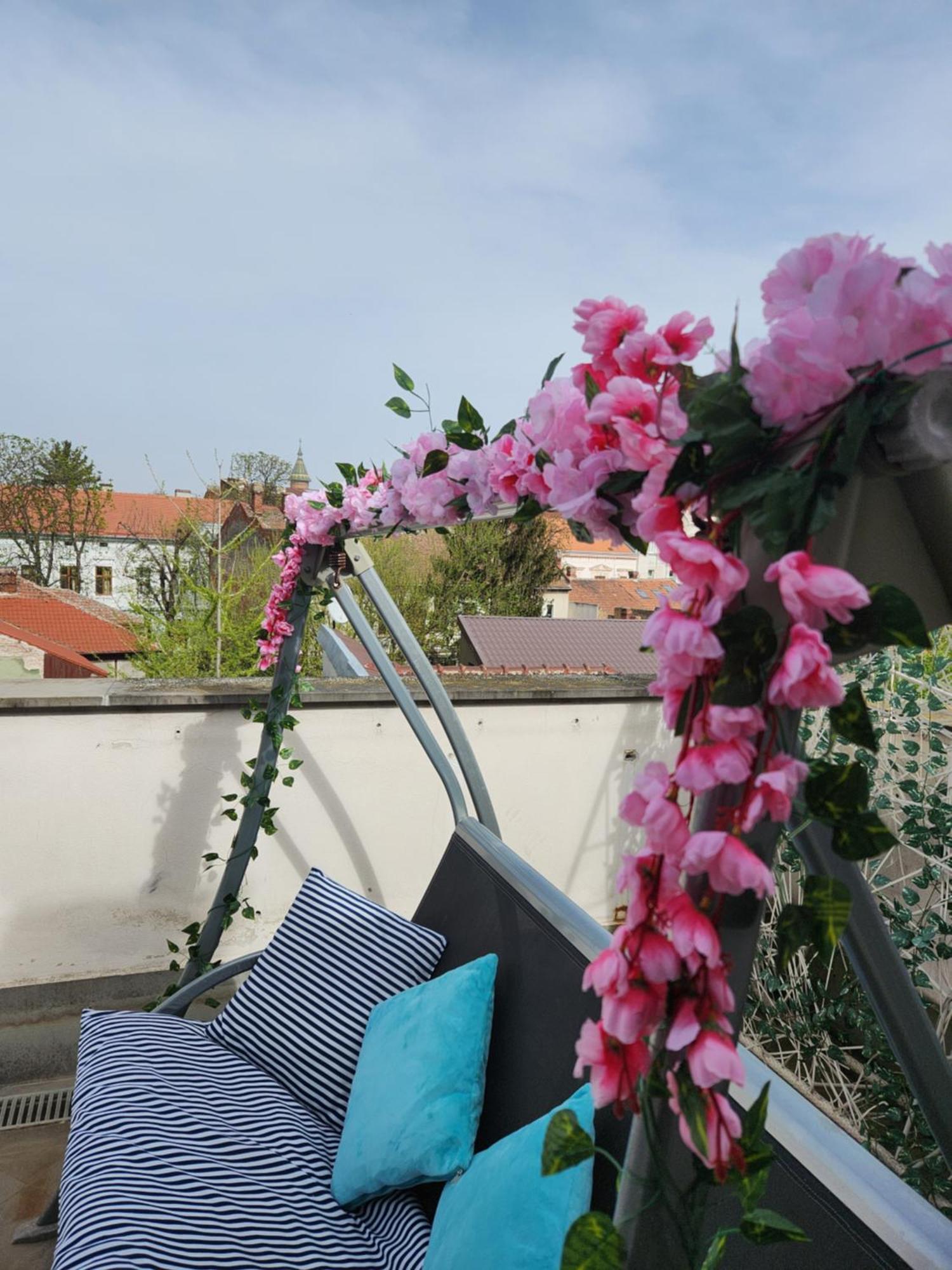 Central, Big Terrace, Near River Τιμισοάρα Εξωτερικό φωτογραφία